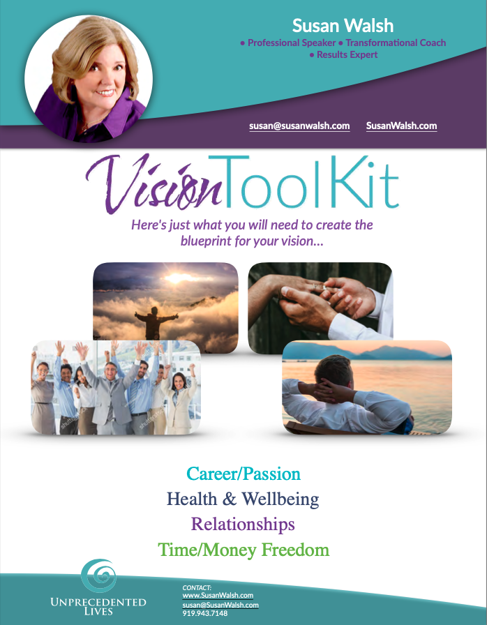 Susan Walsh Vision Toolkit Cover