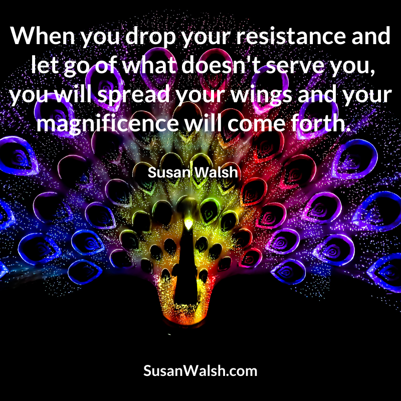 When You Drop Your Resistance, Let Go Of What Susan Walsh Quote 800 X 800